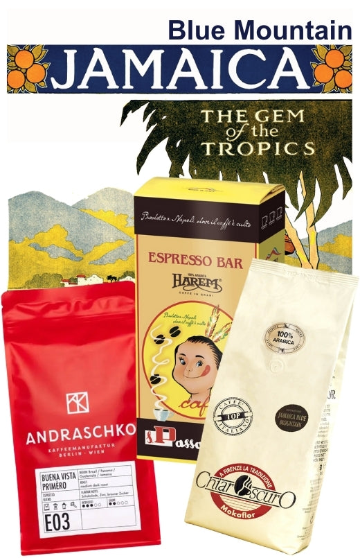 Set de Prueba con Jamaica Blue Mountain 