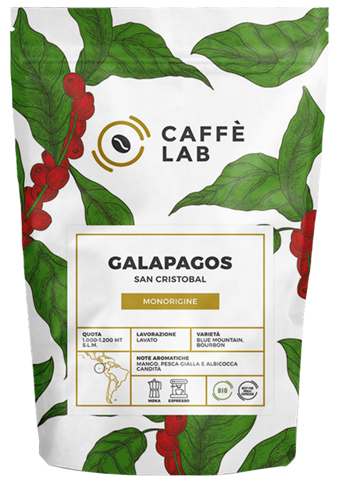 Paquete Cafetera Moka express 9 tazas + 1 kg de café Lavazza - IL FAVORITO