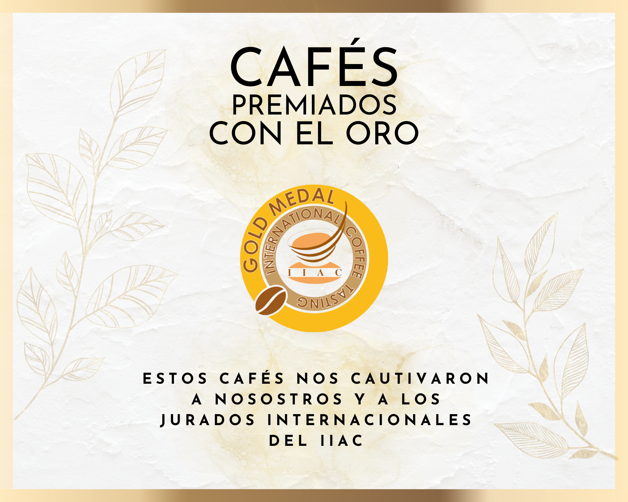 Medallas de oro ᐅ Award Winning Coffee ≫ ¡Ganador de la prueba!