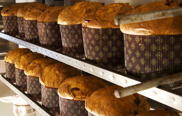 Panettone