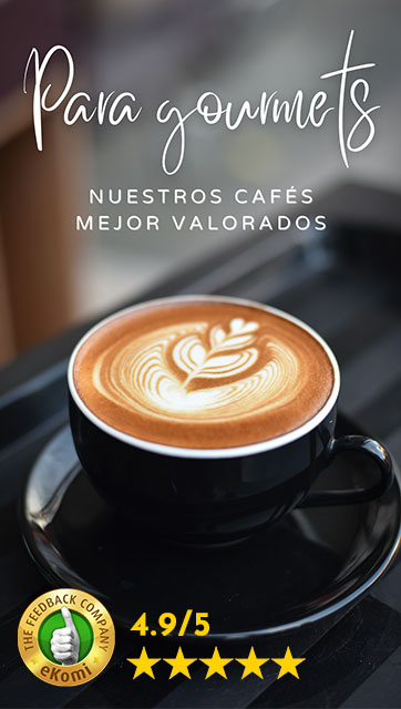 Fino Cafetera espresso para estufa, prepara hasta 6 porciones