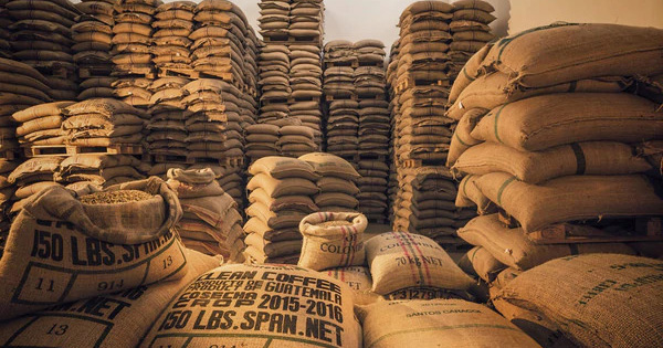 Rohkaffee Cortese rohkaffe-cortese